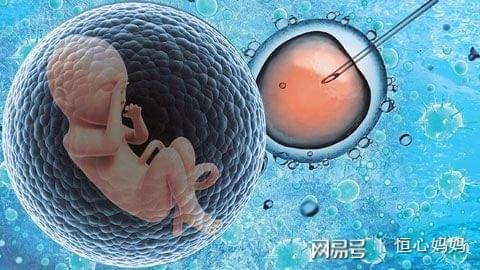 单身试管供卵服务公司生殖医学中心